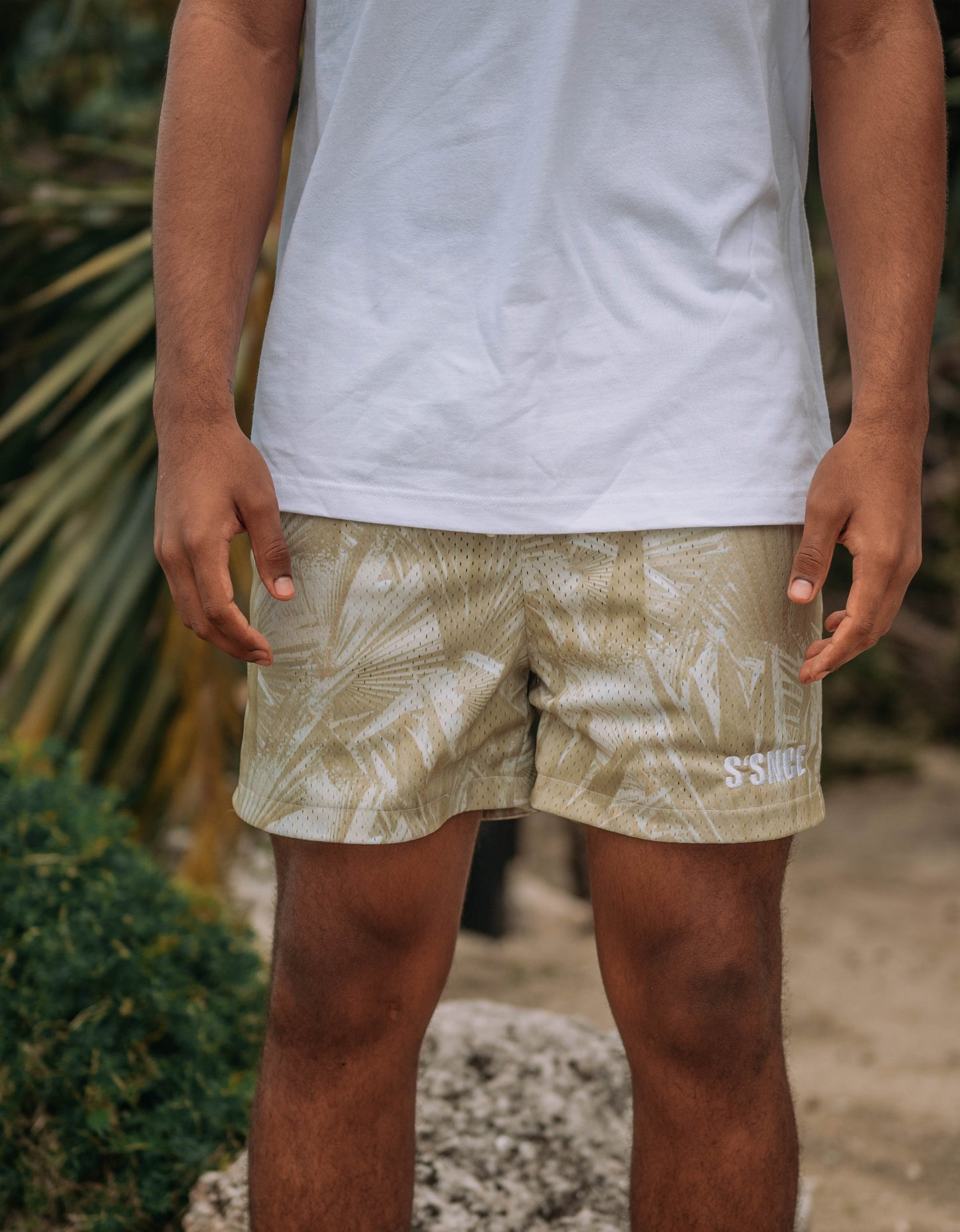 Unisex “Silver Thatch Palm” Shorts