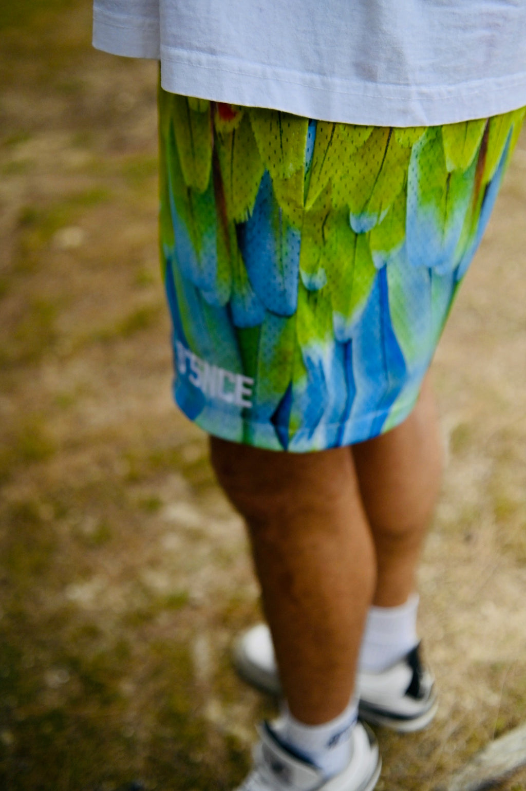 Mesh Shorts - Parrot Tail